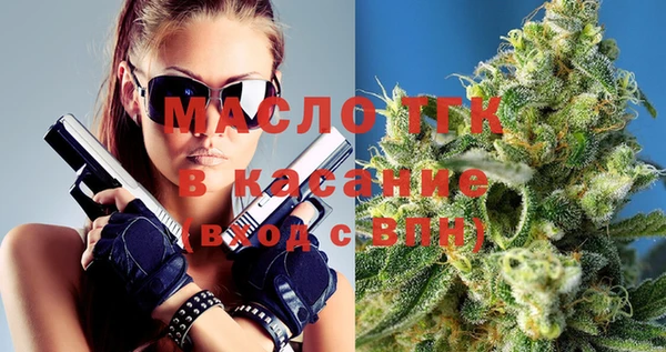 твердый Бородино