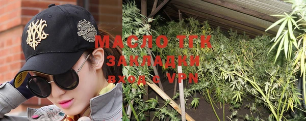 индика Верхний Тагил