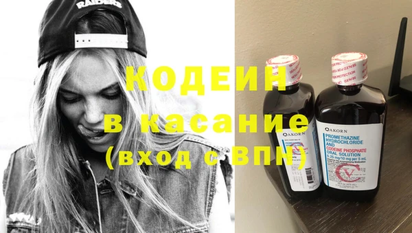 твердый Бородино