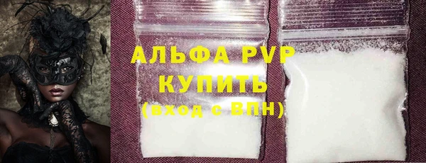 твердый Бородино