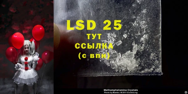 индика Верхний Тагил