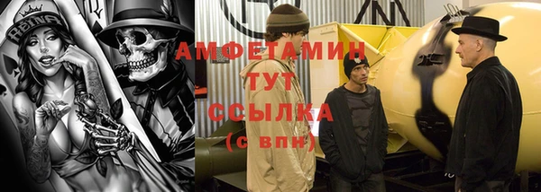 твердый Бородино