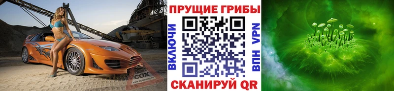 Галлюциногенные грибы Cubensis  Топки 